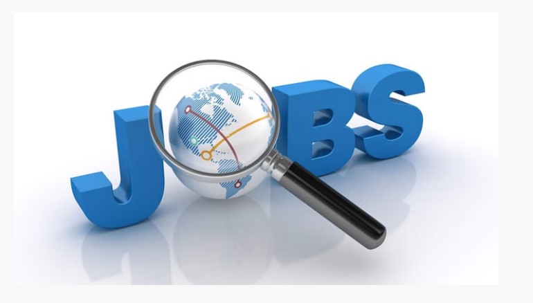 Govt Job