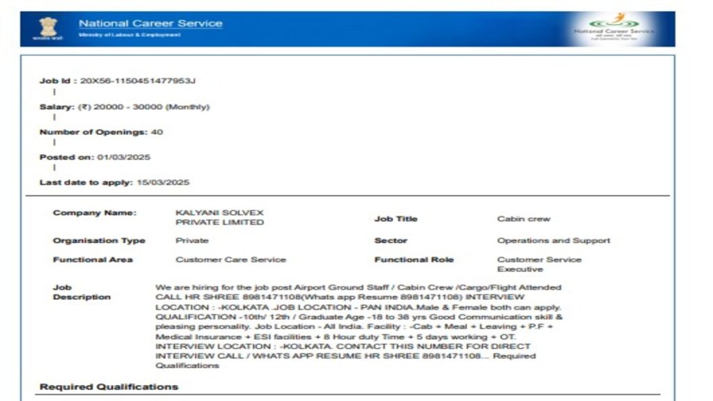Airport Ground Staff Cabin Crew Cargo Flight Attended Jobs